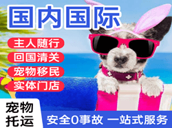 乌兰察布航空运输国际宠物托运 【国